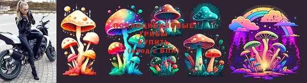 соль ск Абинск