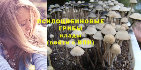 спиды Алзамай