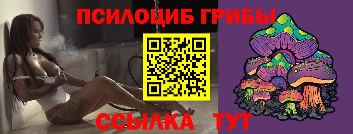 Галлюциногенные грибы Cubensis Новоалтайск